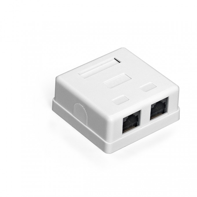 Розетка внешняя двойная EXEGATE SM2-RJ45-C6 RJ-45 кат.6 UTP Krone 110 EX292845RUS Розетка внешняя двойная EXEGATE SM2-RJ45-C6 RJ-45 кат.6 UTP Krone 110 EX292845RUS